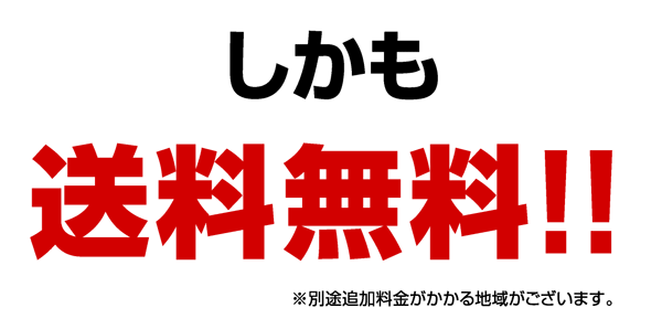 送料無料 学習机 勉強机 天使の羽根 リリー2 ピンク ブルー ホワイト 鏡面 仕上げ