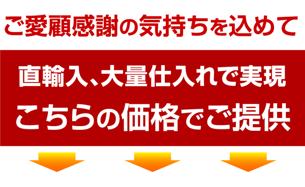 送料無料 学習机 勉強机 ツイン デスク ルフィー RUFFY ワーク 机 パソコン