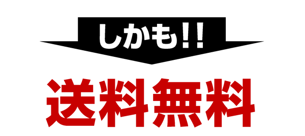 送料無料 学習机 勉強机 ツイン デスク ルフィー RUFFY ワーク 机 パソコン