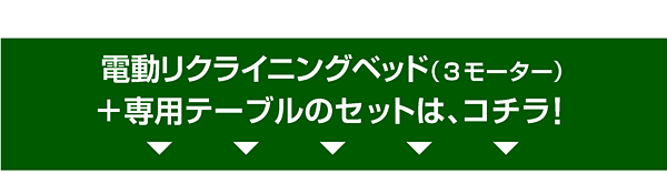 送料無料 介護ベッド 電動ベッド 電動リクライニング モーターリクライニング 介護ベット 電動ベット 介護向け