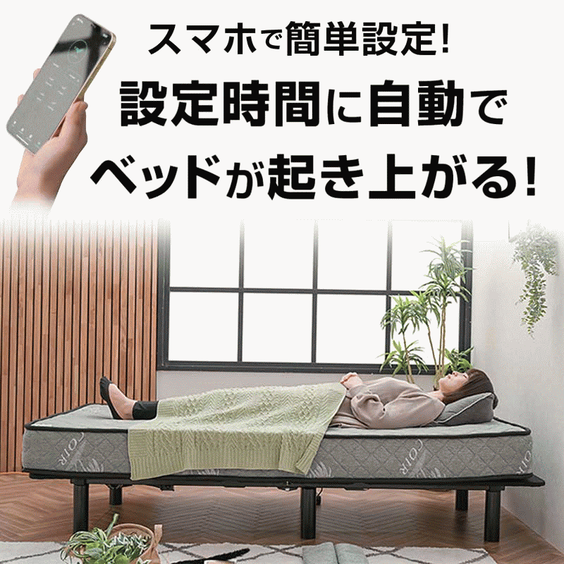 ペットモニターリモカ値下げ Pioneer TVM-PW930T-2 プライベートモニター【9V型ワイド/VGA
