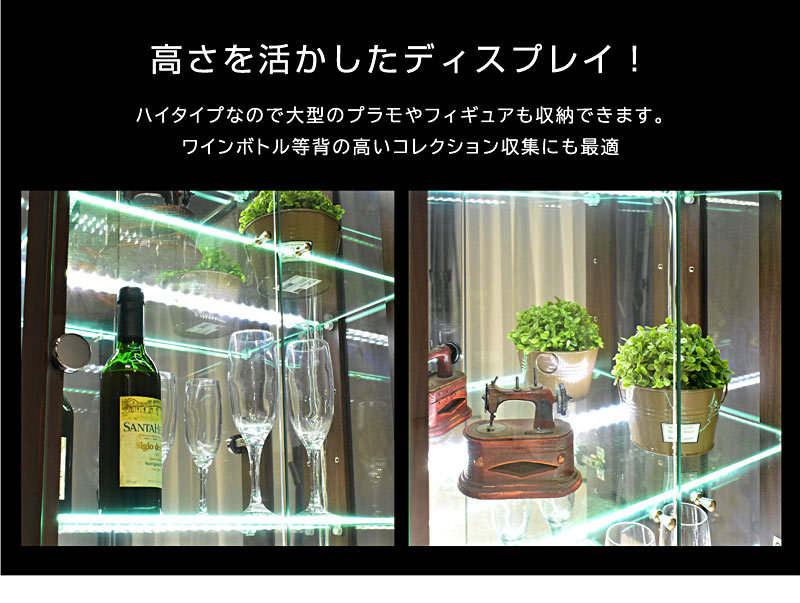 コレクションケース ガラス ハイタイプ 幅50 コレクションラック