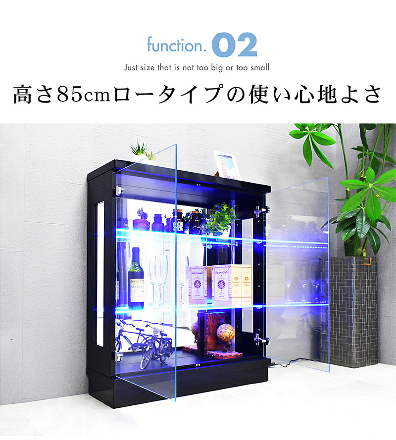 コレクションケース ロータイプ 奥行き25 幅75 コレクションラック