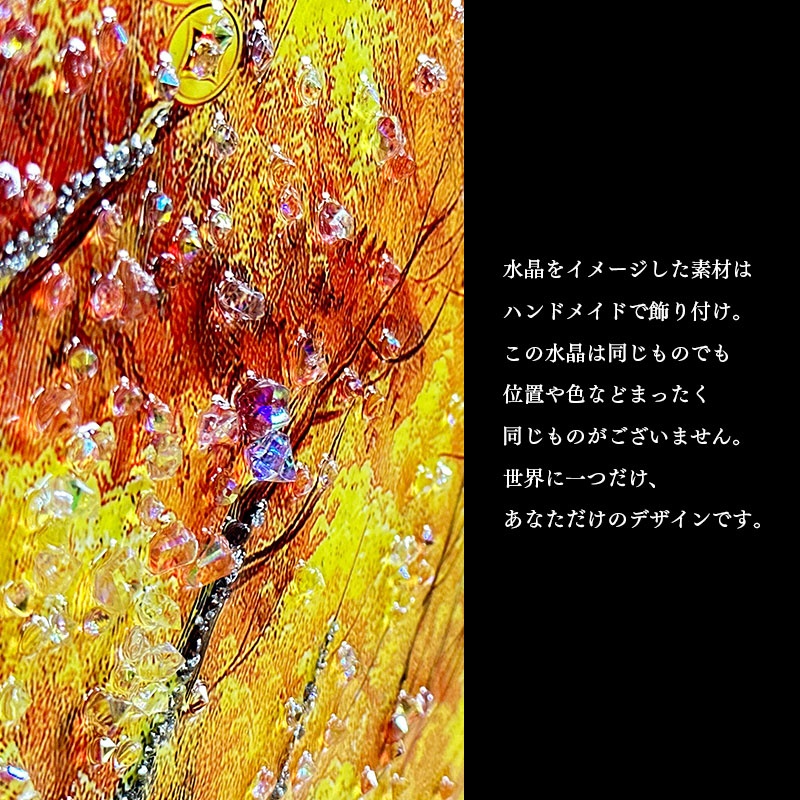 747800225_004.jpg