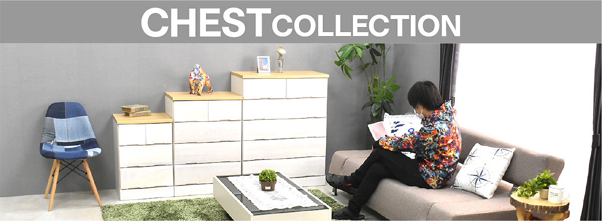 チェストタイトル